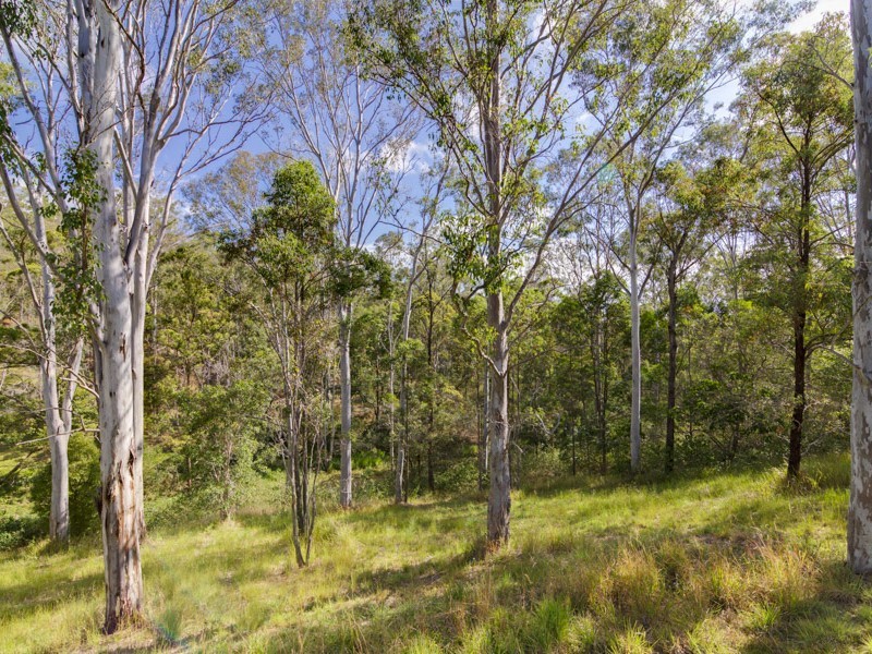 100 Fleetwood Road, Belli Park QLD 4562