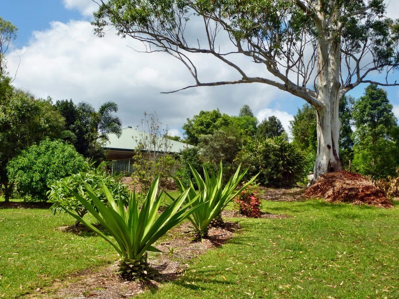 82 Orana Avenue, Pomona QLD 4568