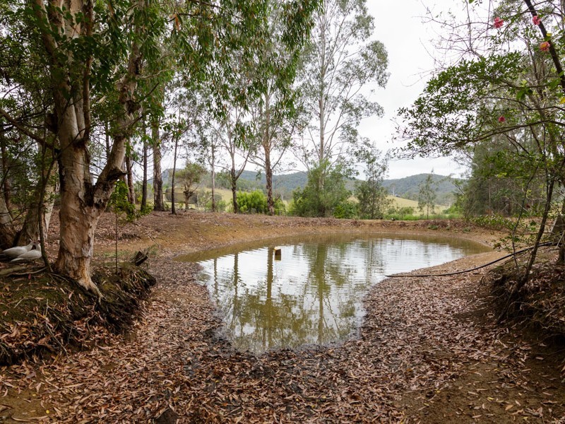 173 Browns Road, Belli Park QLD 4562