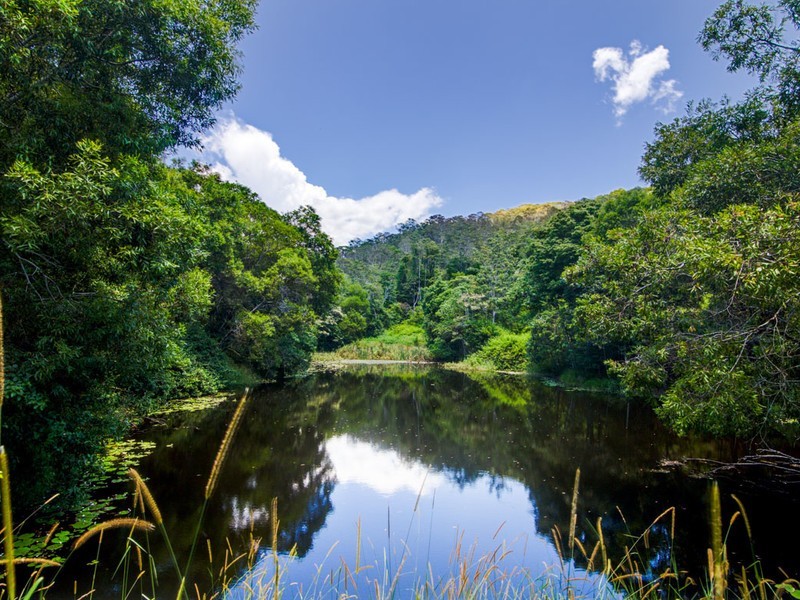 49 Musavale Road, Eerwah Vale QLD 4562