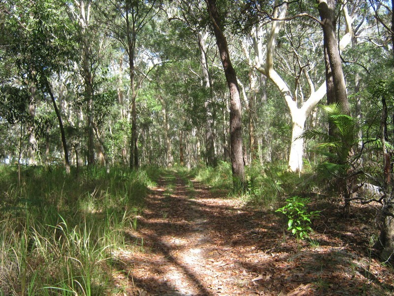 212 McCords Road, Yandina Creek QLD 4561