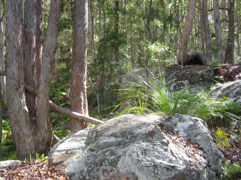 212 McCords Road, Yandina Creek QLD 4561