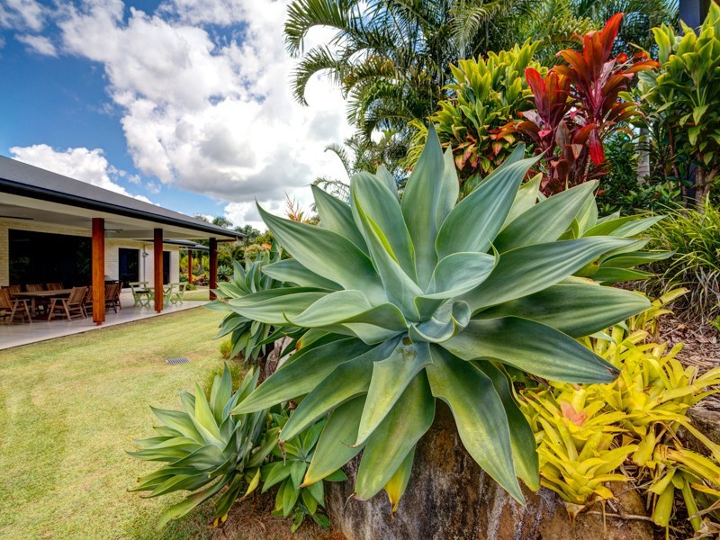 15 Elandra Terrace, Pomona QLD 4568