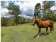 2214 Eumundi-Kenilworth Road, Gheerulla QLD 4574