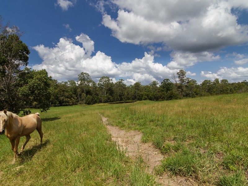 236-264 Skyring Creek Road, Belli Park QLD 4562