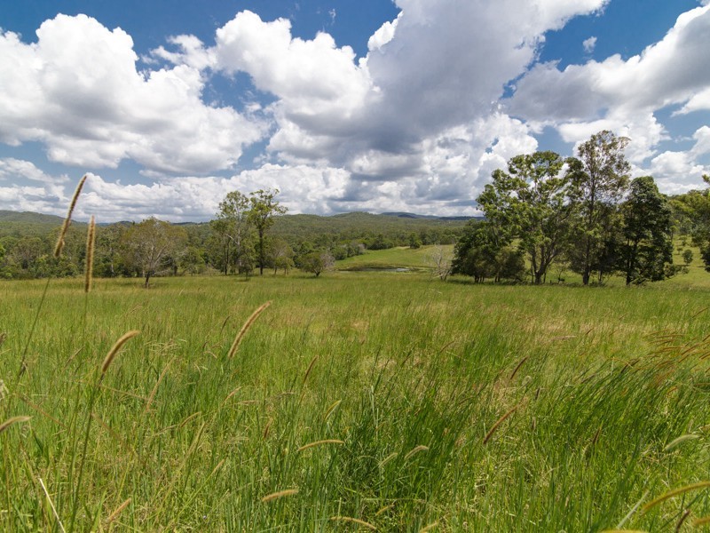 236-264 Skyring Creek Road, Belli Park QLD 4562