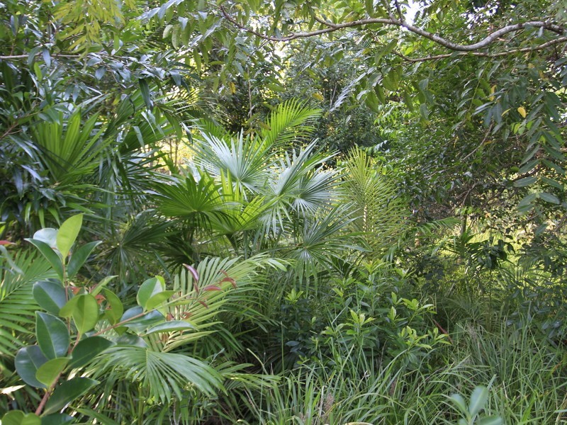 1225 Pomona-Kin Kin Road, Kin Kin QLD 4571