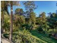 1 William Road, Eumundi QLD 4562