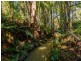 1 William Road, Eumundi QLD 4562