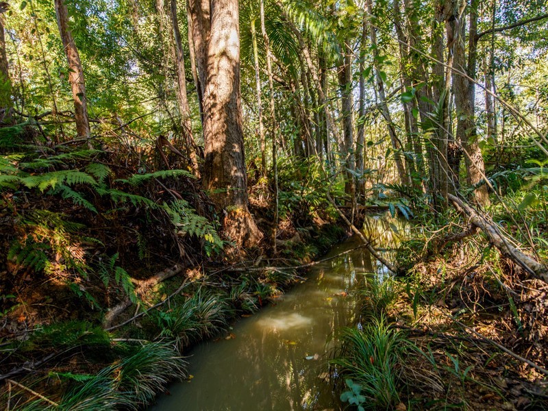 1 William Road, Eumundi QLD 4562
