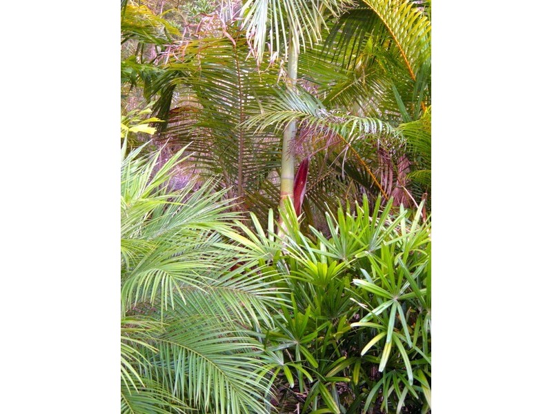 187 Sudholz Road, Verrierdale QLD 4562