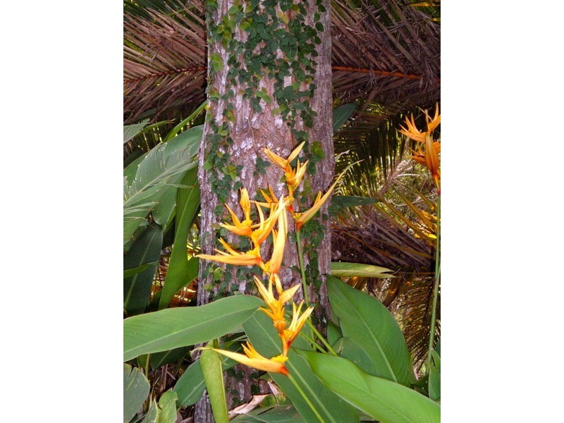 187 Sudholz Road, Verrierdale QLD 4562