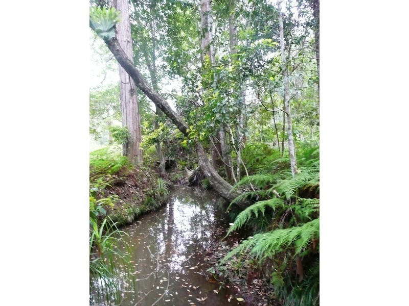 187 Sudholz Road, Verrierdale QLD 4562