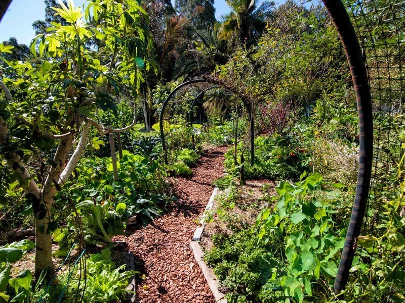 40-44 Sunrise Road, Eumundi QLD 4562