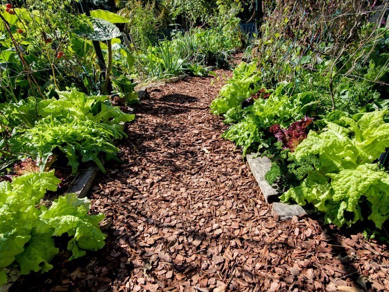 40-44 Sunrise Road, Eumundi QLD 4562