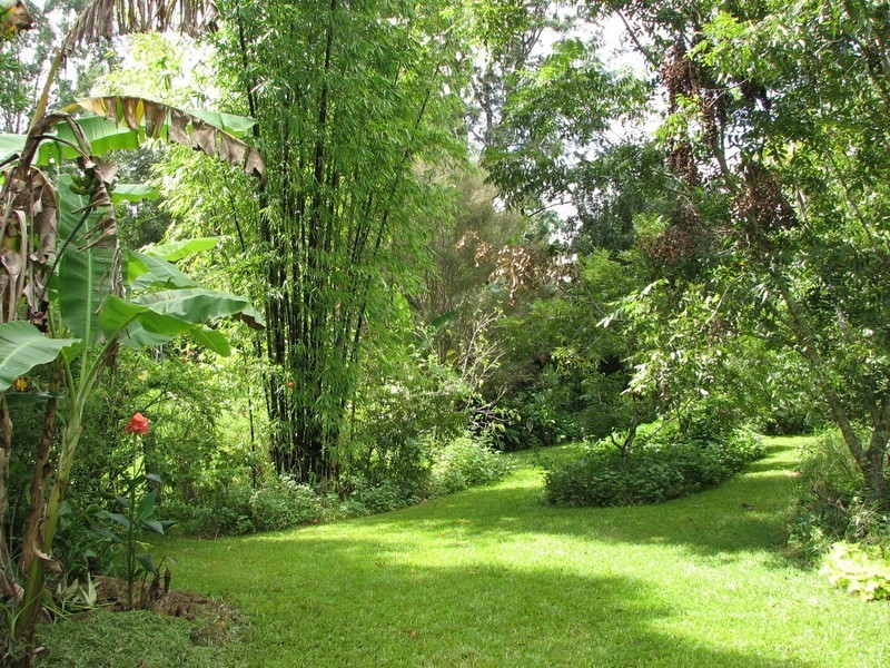 40-44 Sunrise Road, Eumundi QLD 4562