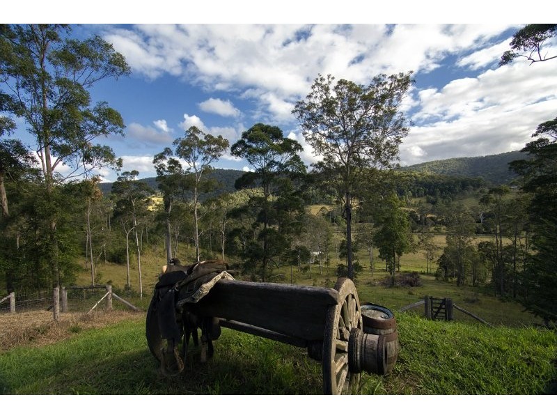 699 Cedar Creek Road, Belli Park QLD 4562