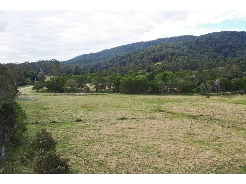 699 Cedar Creek Road, Belli Park QLD 4562