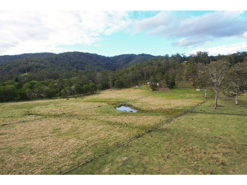 699 Cedar Creek Road, Belli Park QLD 4562