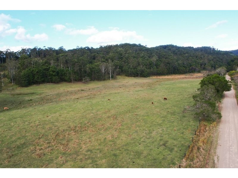 699 Cedar Creek Road, Belli Park QLD 4562