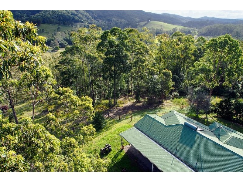 699 Cedar Creek Road, Belli Park QLD 4562