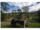 Belli Park QLD 4562