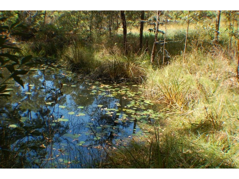 498 Bunya Road, Eumundi QLD 4562