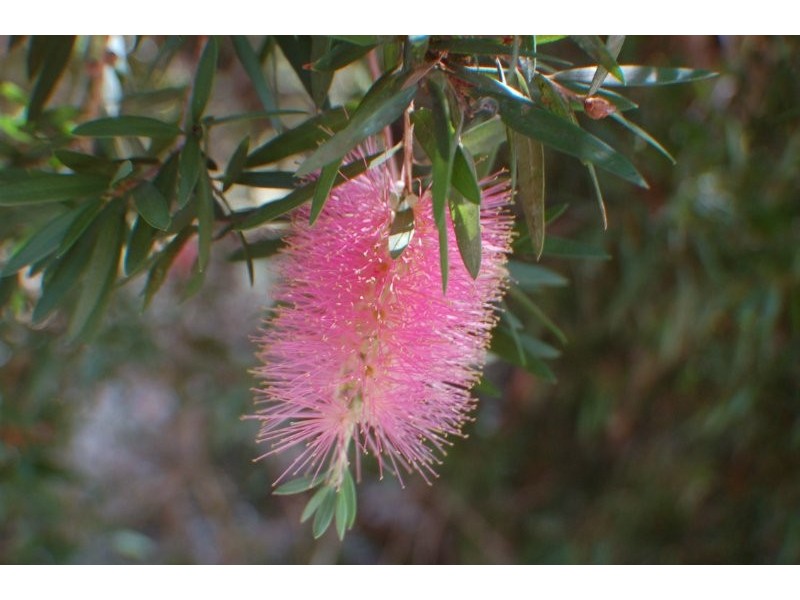 73 Naranga Road, Belli Park QLD 4562