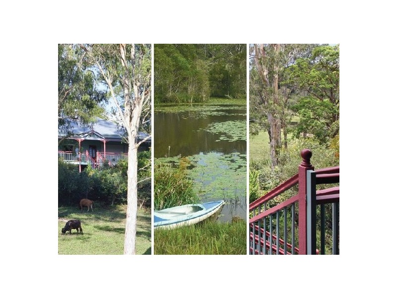 Eumundi QLD 4562