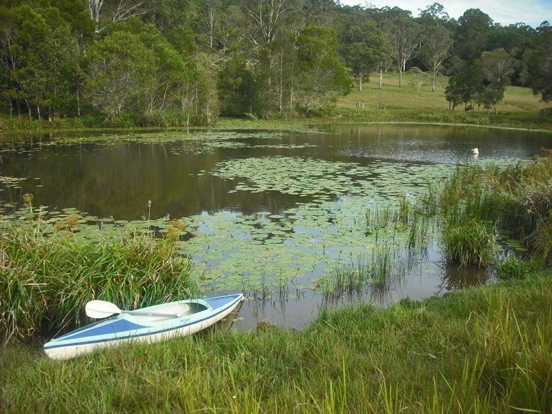 Eumundi QLD 4562