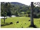 Eumundi QLD 4562