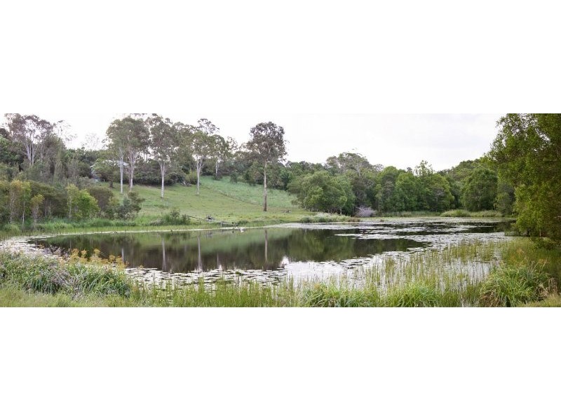 Eumundi QLD 4562