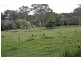 Eumundi QLD 4562