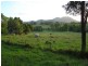 Eumundi QLD 4562