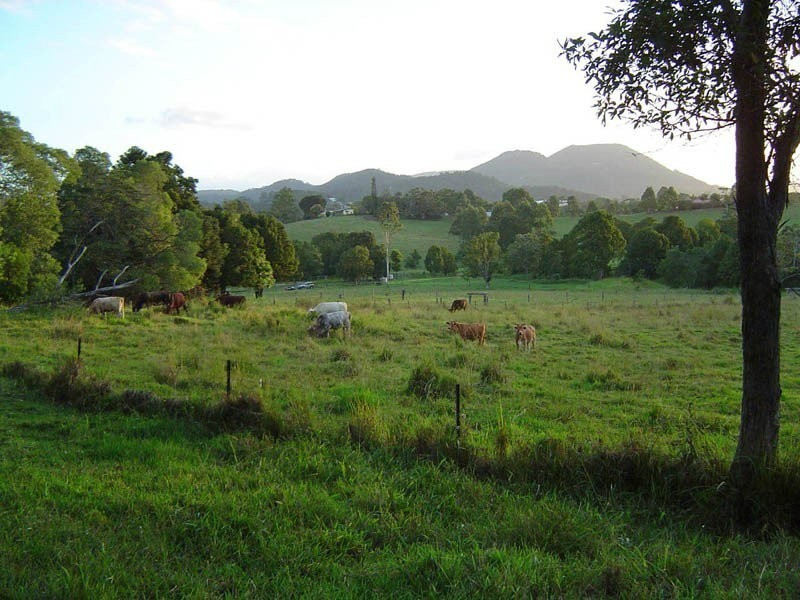 Eumundi QLD 4562