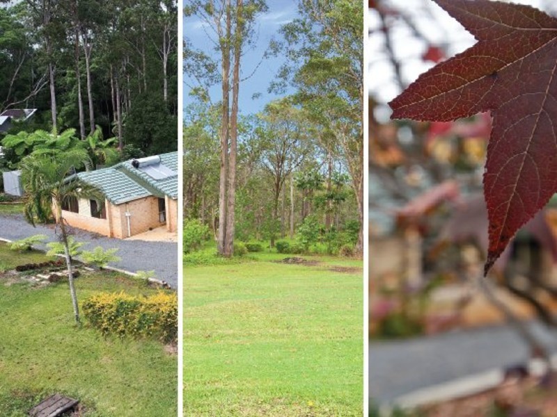 146 Redwood Road, Doonan QLD 4562