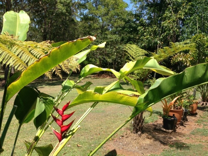 146 Redwood Road, Doonan QLD 4562