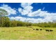 Belli Park QLD 4562