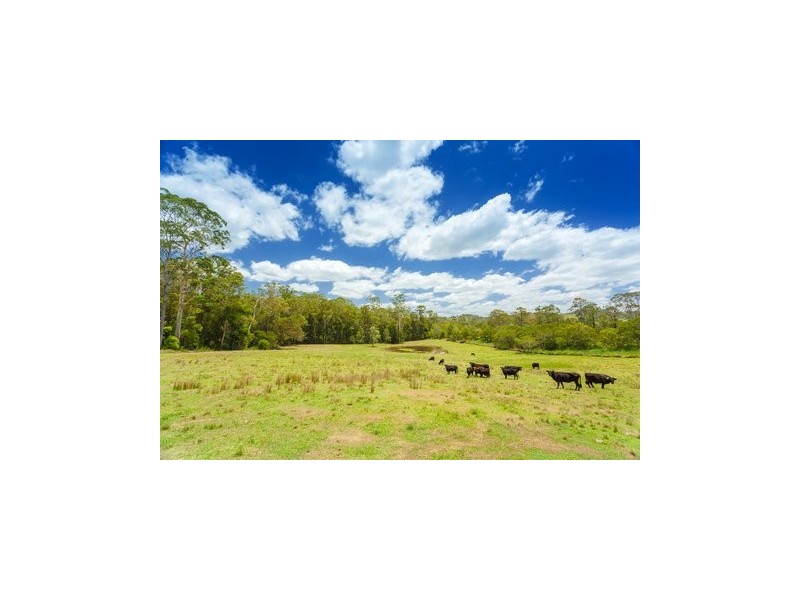Belli Park QLD 4562