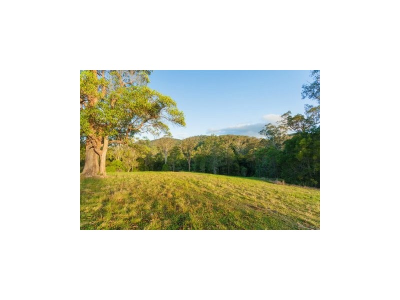 Belli Park QLD 4562