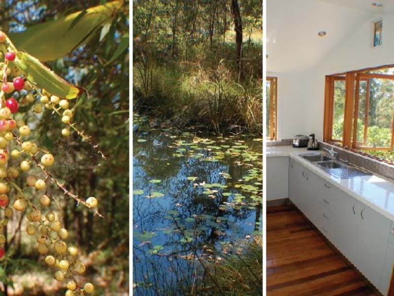 498 Bunya Road, North Arm QLD 4561
