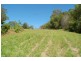 498 Bunya Road, North Arm QLD 4561