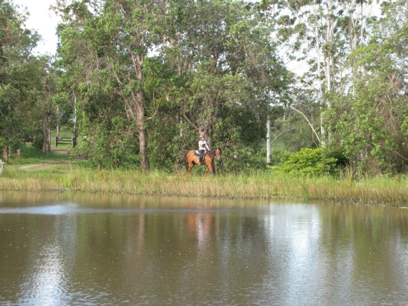 Ridgewood QLD 4563