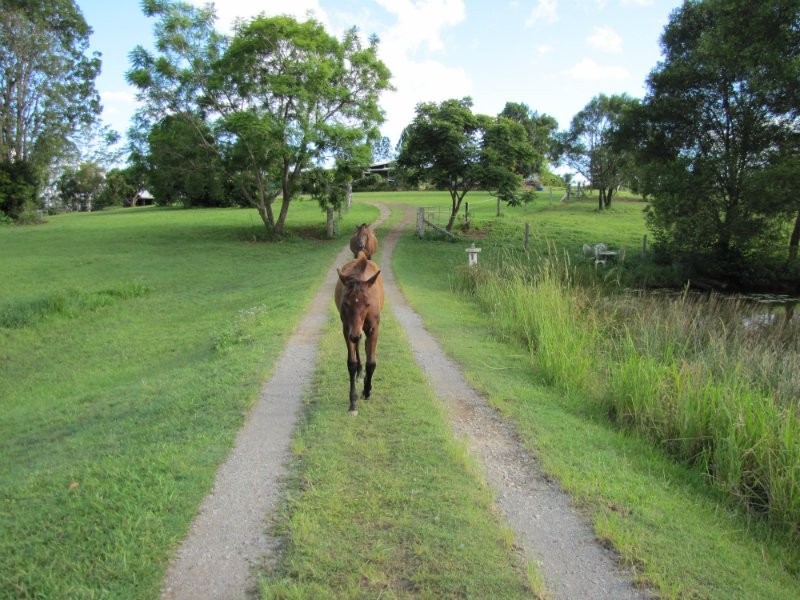 Ridgewood QLD 4563