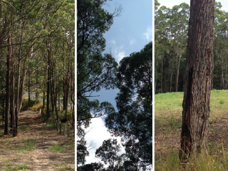 Verrierdale QLD 4562