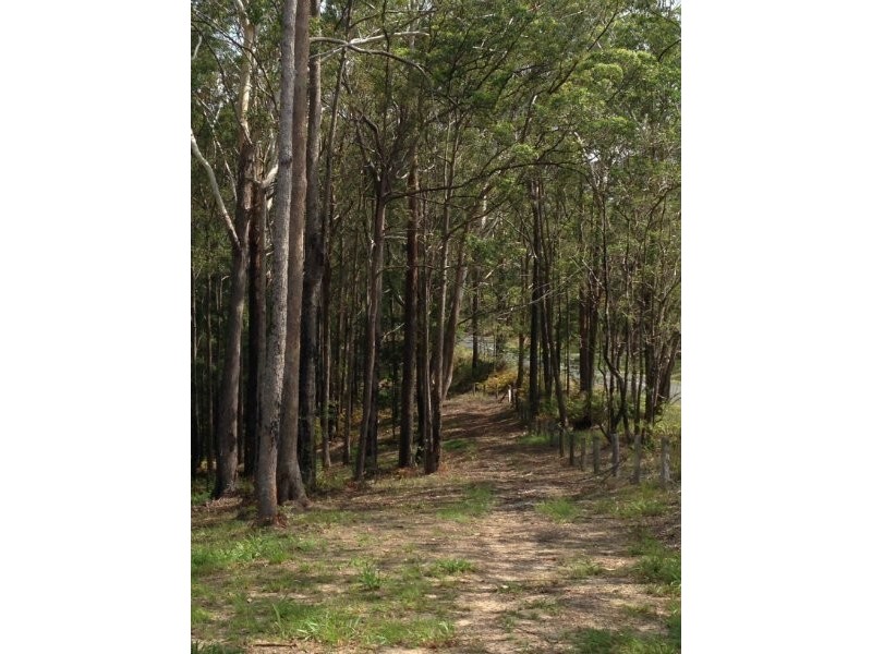 Verrierdale QLD 4562