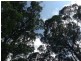 Verrierdale QLD 4562