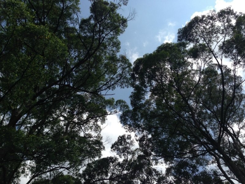 Verrierdale QLD 4562