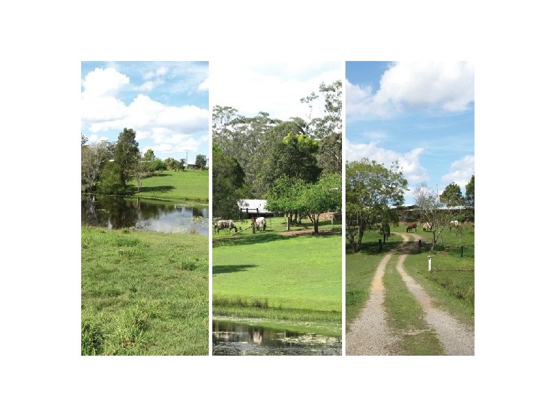 1531 Cooroy Belli Creek Road, Cooroy QLD 4563