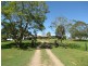 1531 Cooroy Belli Creek Road, Cooroy QLD 4563